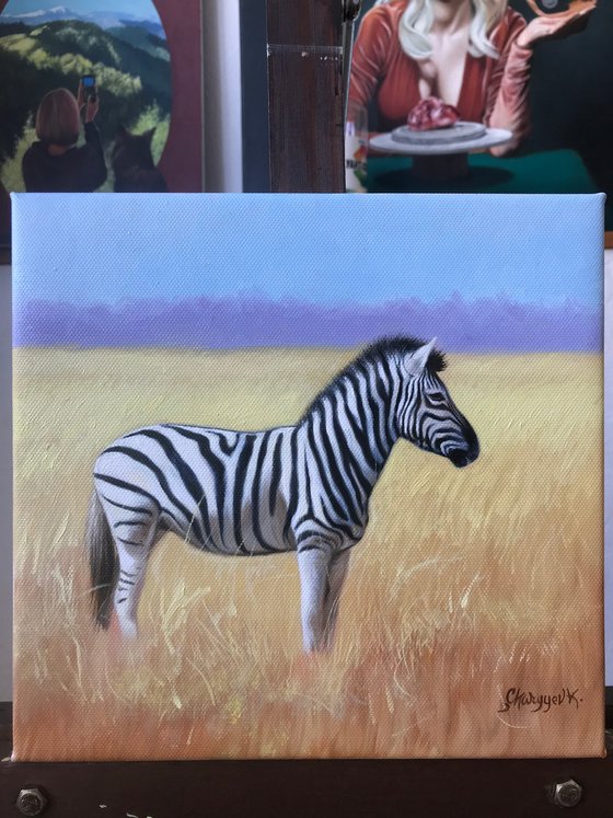 Zebra