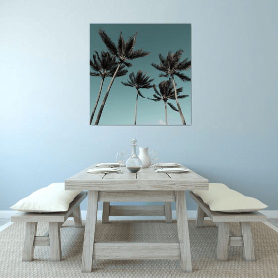 Palms