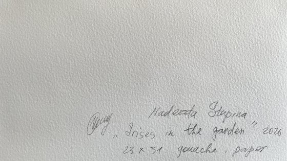 Irises in the garden