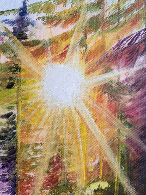 Sunlit Meadow.