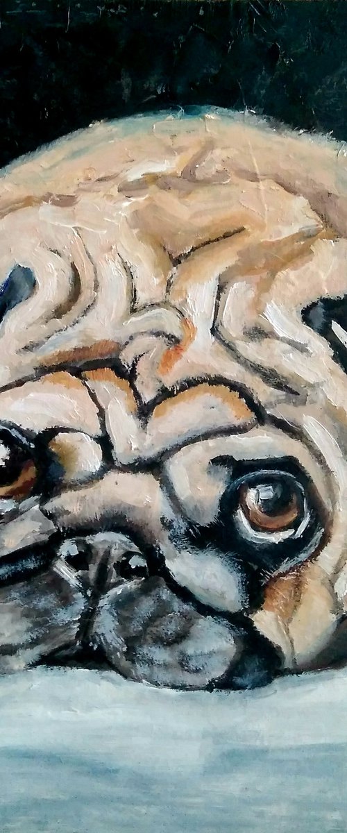 Pug by Yulia Berseneva