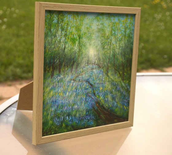 Bluebell woodland