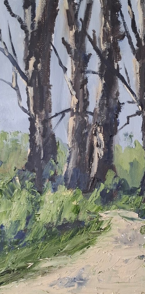 Farm Track by John Halliday