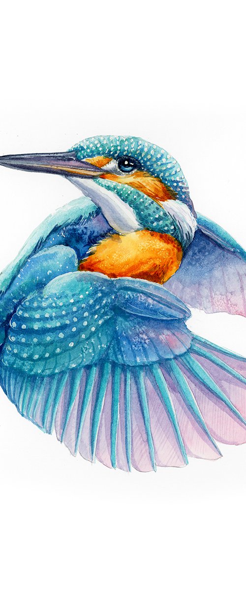 Flying Kingfisher by Karolina Kijak