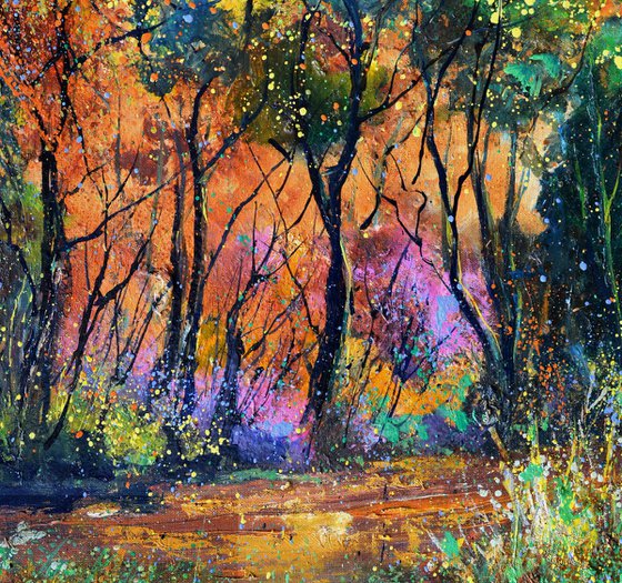 Colourful forest scenery