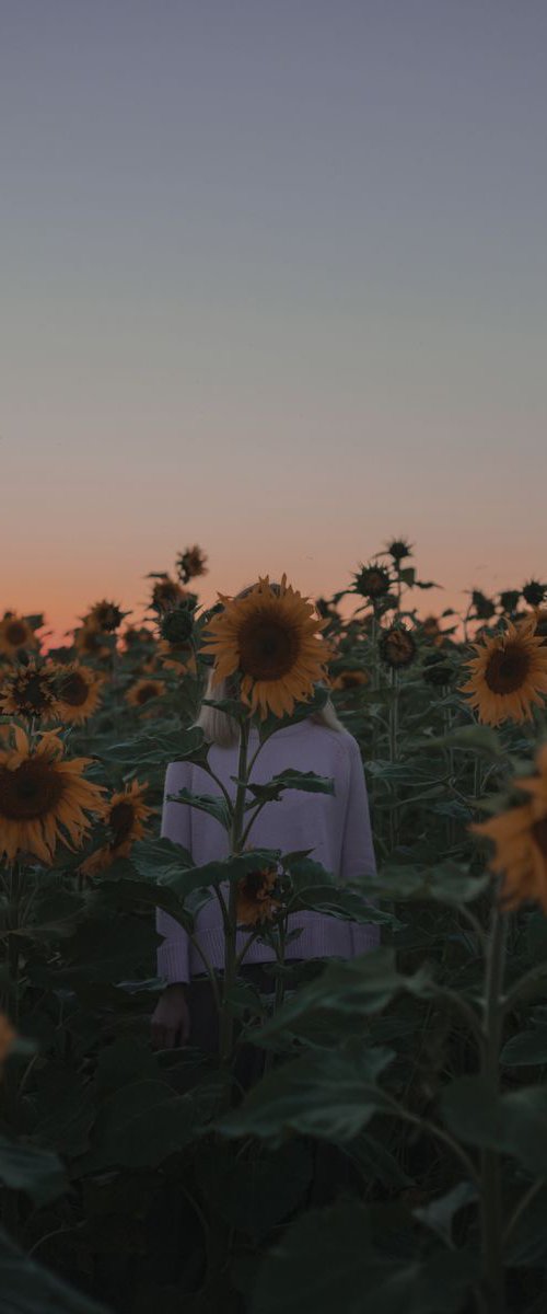 Summertime. Lost in sunflowers - Limited Edition 1 of 3 by Inna Mosina