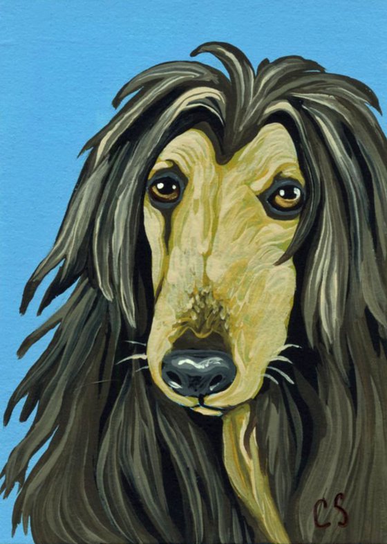 ACEO ATC Original Painting Afghan Pet Dog Art-Carla Smale