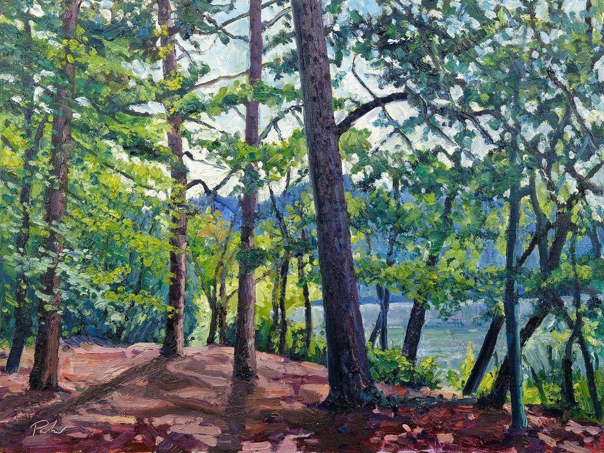 Expressive Landscape Oil Painting By Jeff Parker, 16 X 12, Water