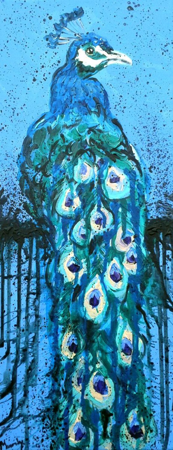 "Peacock blues"