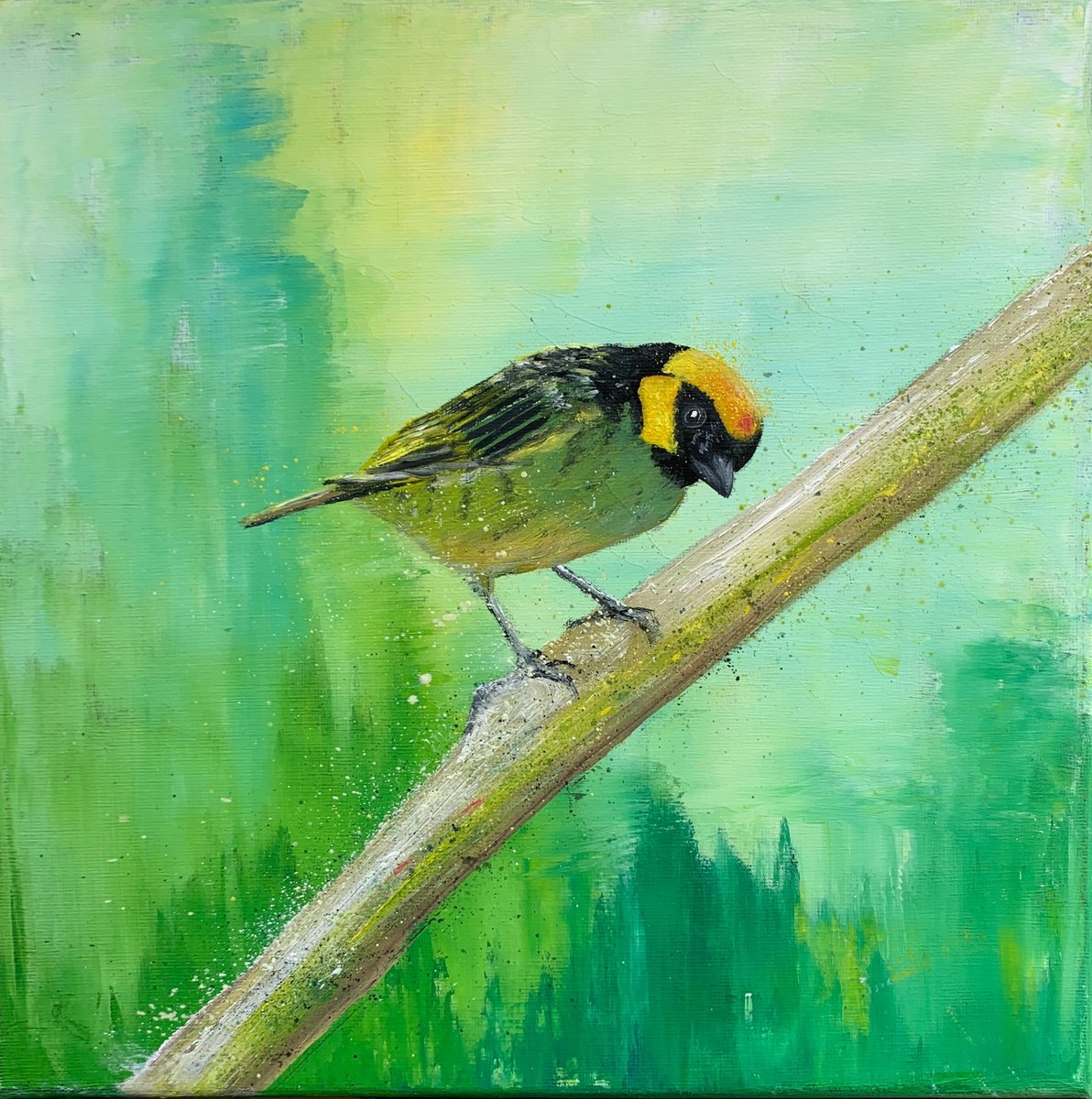 Impressionistic Animal Painting By Laure Bury, 12 X 12", Saffron-Crowned Tanager, Original Artwork