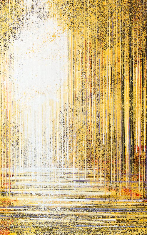 Forest At Sunset by Marc Todd