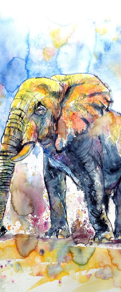 Big elephant by Kovács Anna Brigitta