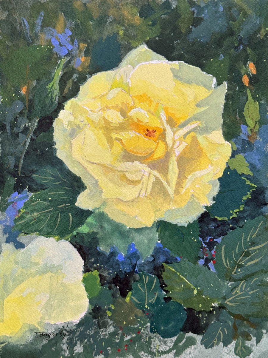Impressionistic Botanical Painting By Tatyana Fogarty, 9 X 12", Yellow Rose, Original Artwork