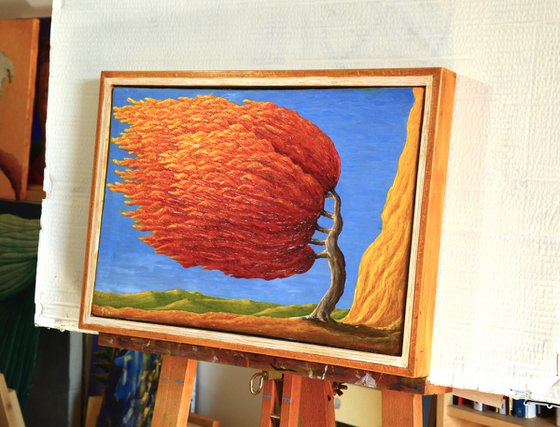 UN ALBERO