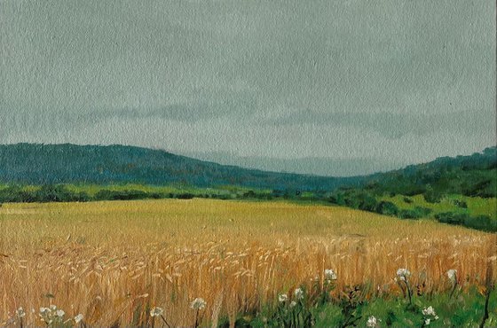 Wheat field