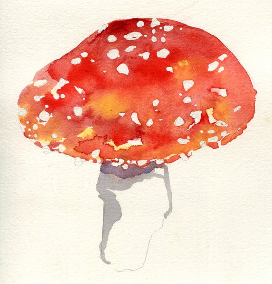 A Single Toadstool