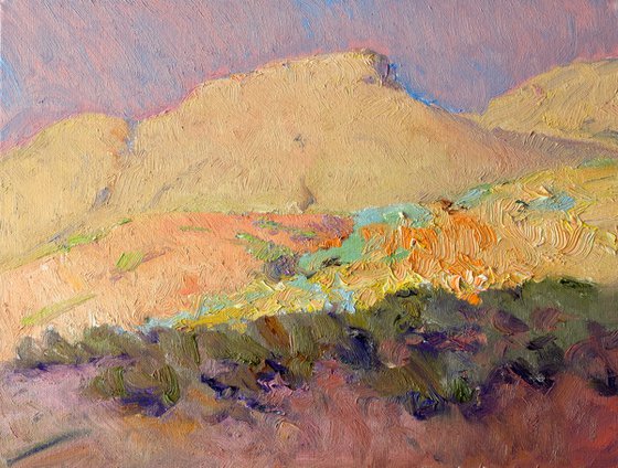 Evening in the Desert