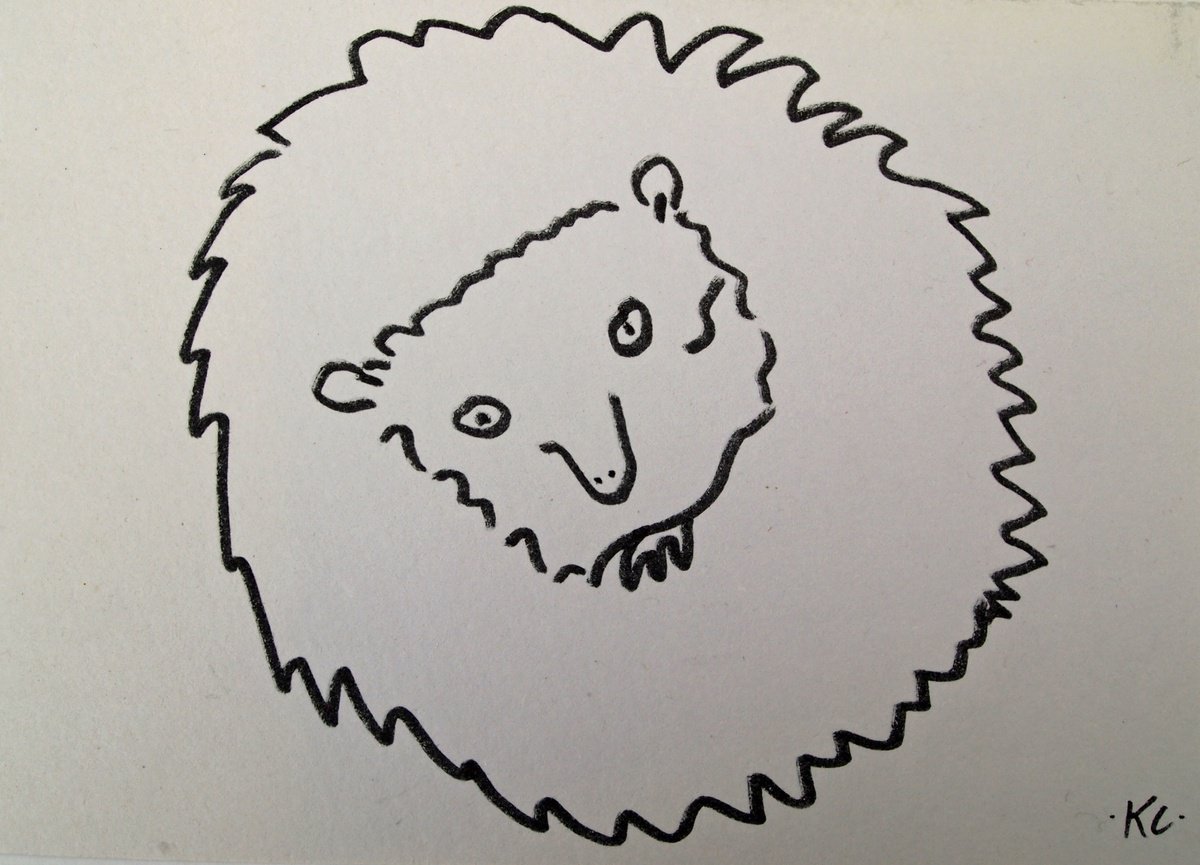Hedgehog by Kitty Cooper