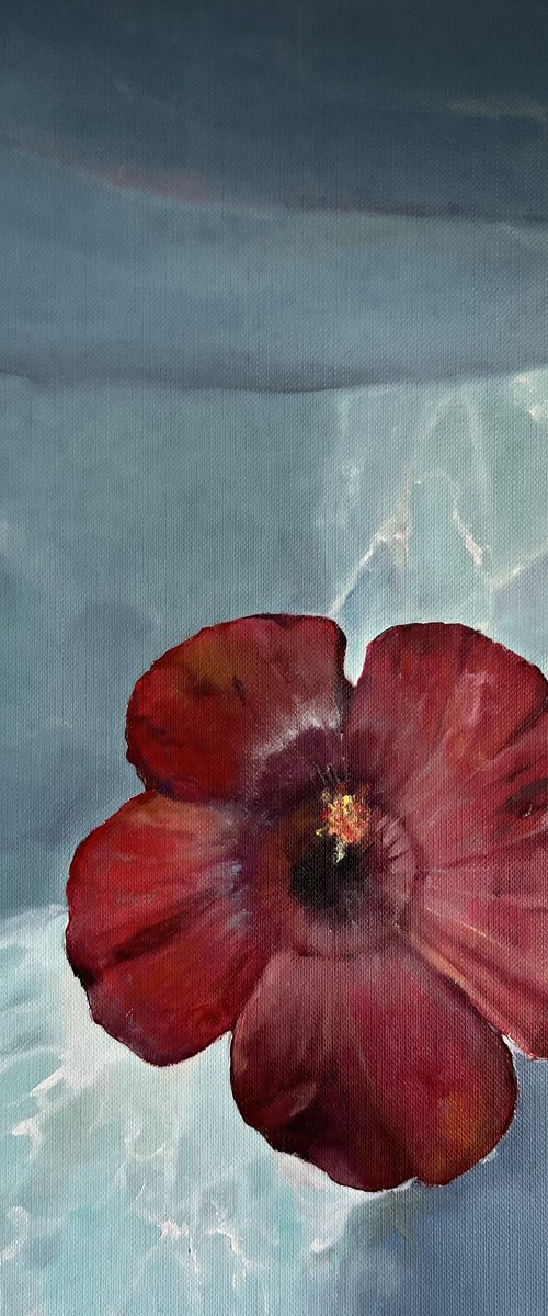 Hibiscus Water Sunlight by Myroslava Denysyuk
