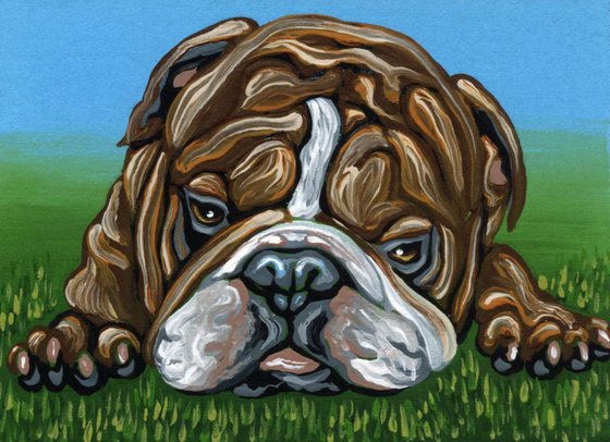 ACEO ATC Original Painting English Bulldog Pet Dog Art-Carla Smale