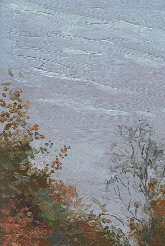 Autumn day. Opaliha