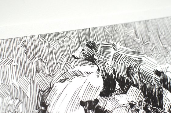 Family of bears on the river, small ink pen drawing, forest animals