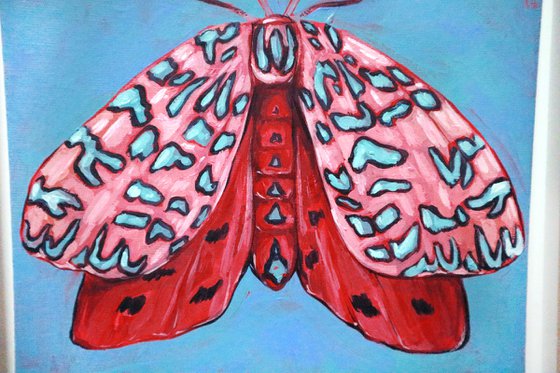 Pink moth