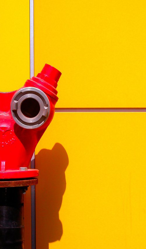 Smile please by Abba Richman