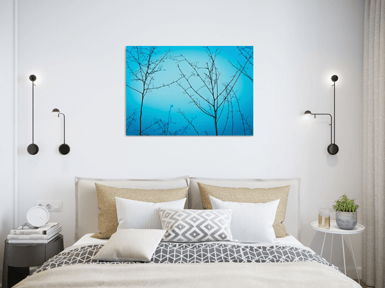 Twilight in the outdoors | Limited Edition Fine Art Print 1 of 10 | 75 x 50 cm