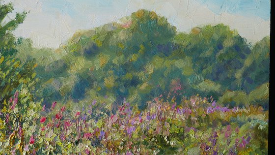 The Sunny Meadow