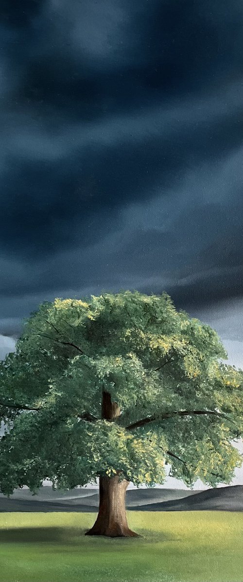 Calm Before The Storm by Victoria Obolensky