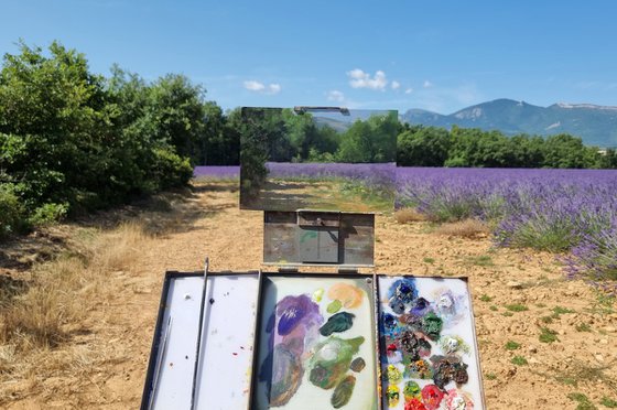 Lavander Field at Les Puys