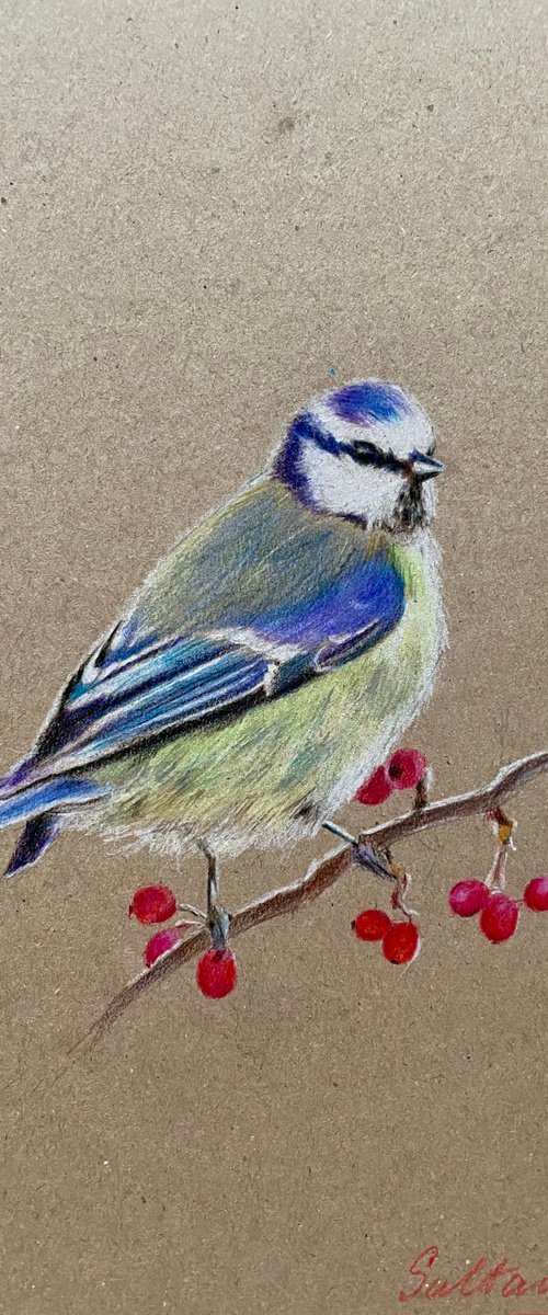 Bird with berries 2 by Elvira Sultanova