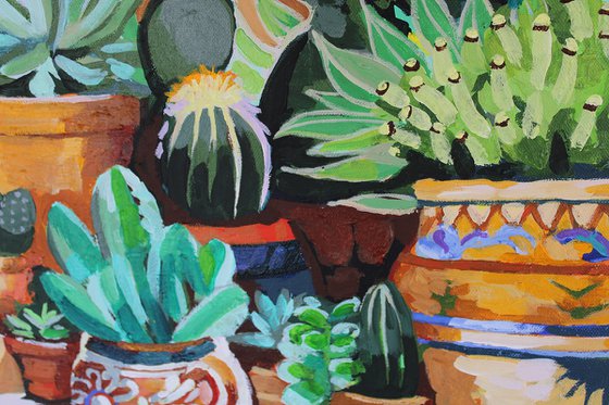 Cactus Garden