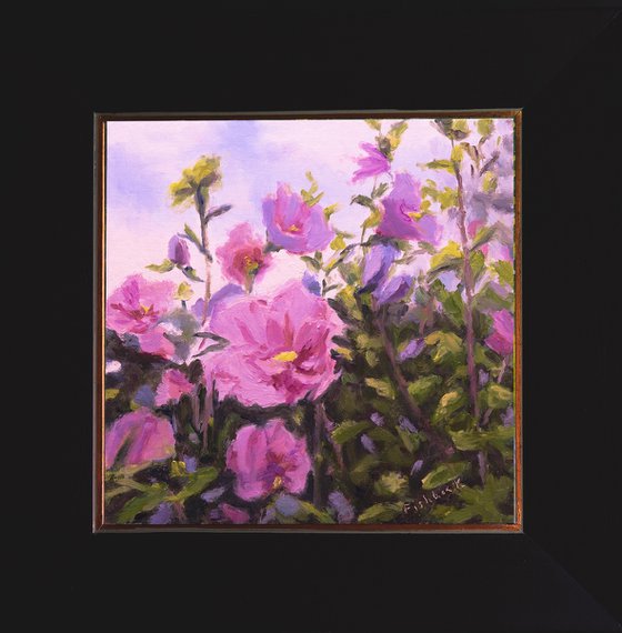 Purple Rose of Sharon Blossoms