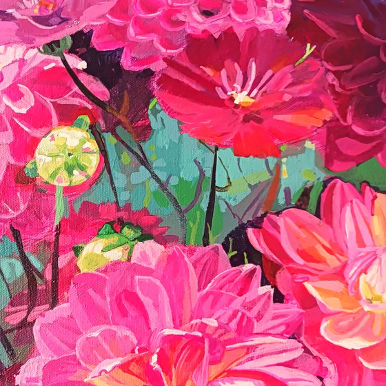 Dahlias