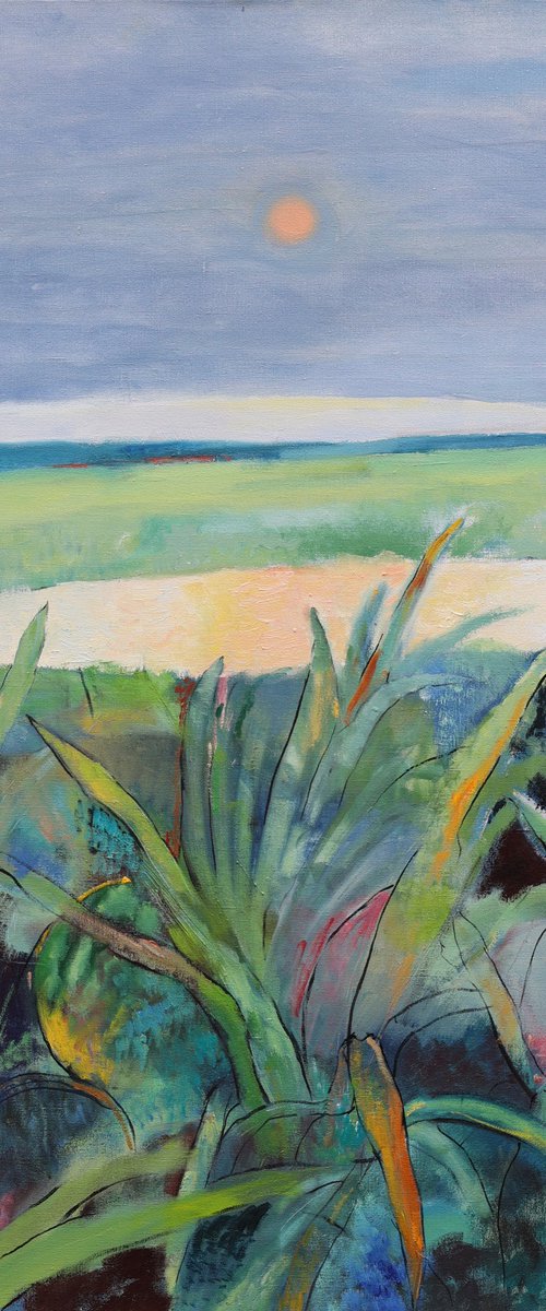 Watermelon by Artem Andreichuk