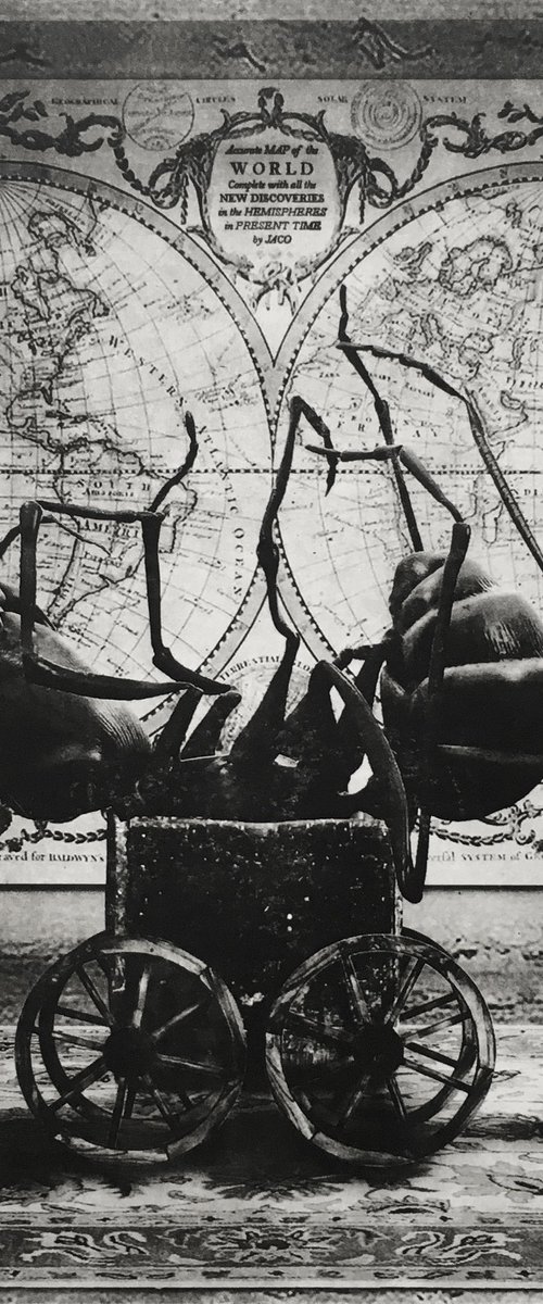 Interior No.63 by Jaco Putker