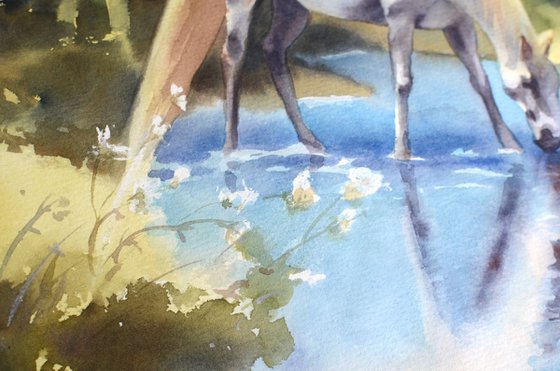 White Horse / Mountain Stream