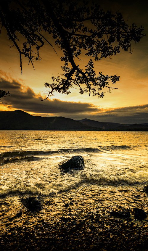 Gold Sunset by Cédric Brion