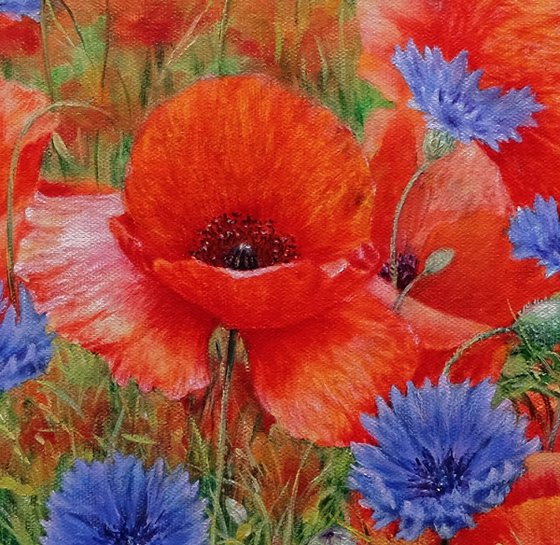 Poppies with cornflowers.