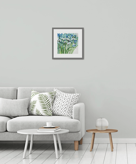 Snowdrop Clump
