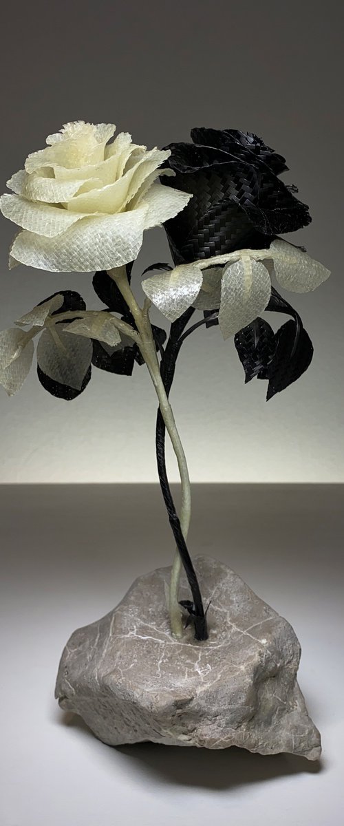 Balancing by Akacius Vegh