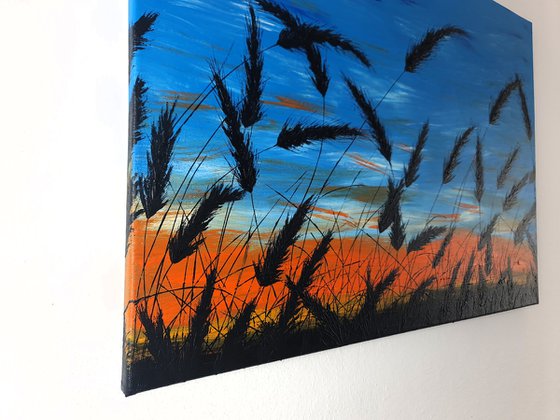 Sunset in the grass