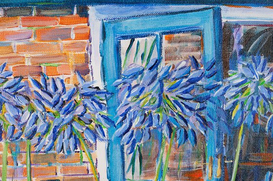 AGAPANTHUS BY THE BLUE DOOR