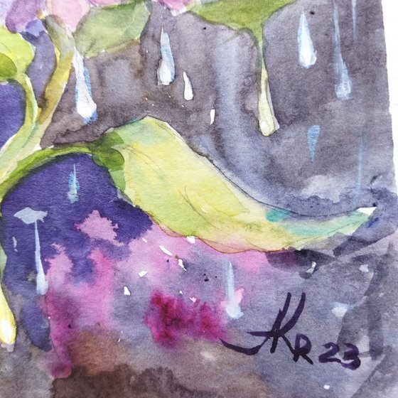 Hydrangea after the rain