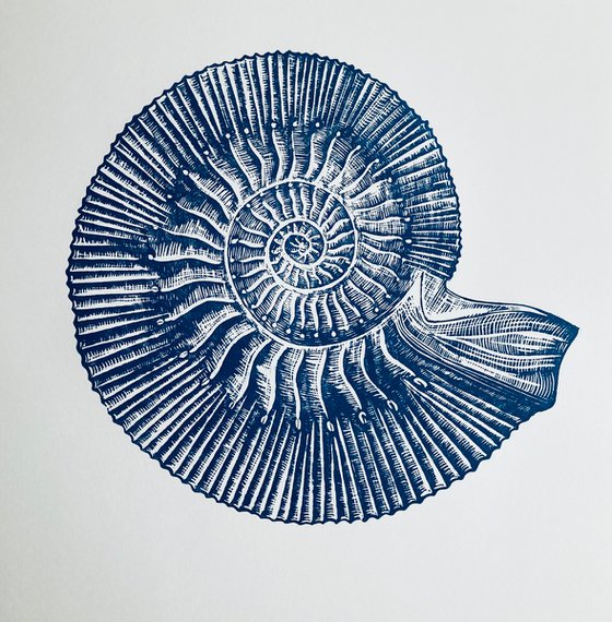 Sealife Triptych Linocuts (Cerulean Blue)