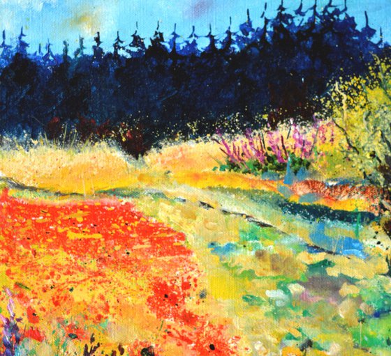Summer  with red poppies