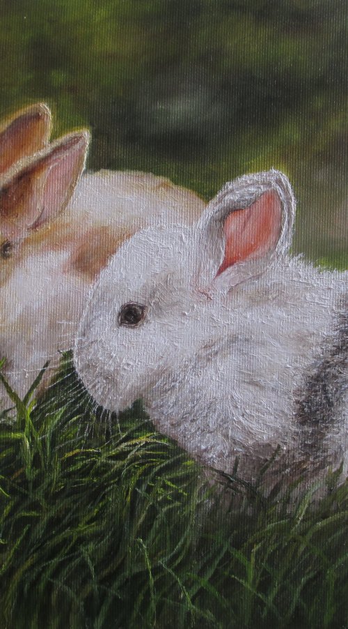 Bunnies by Olga Knezevic