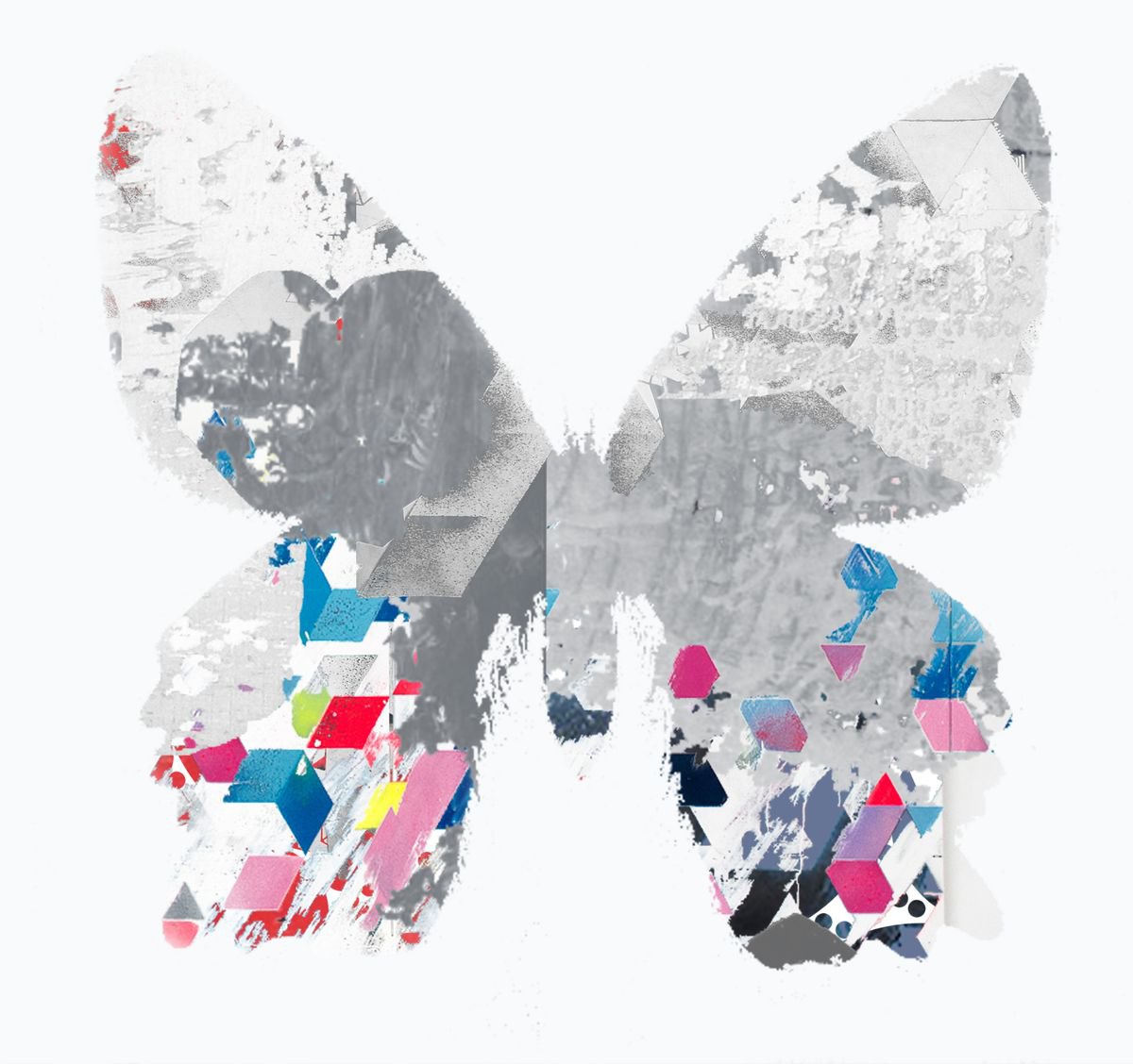 Abstract Animal Limited Edition Print By The Most Active, 9 X 8", Butterfly 17, Original Artwork